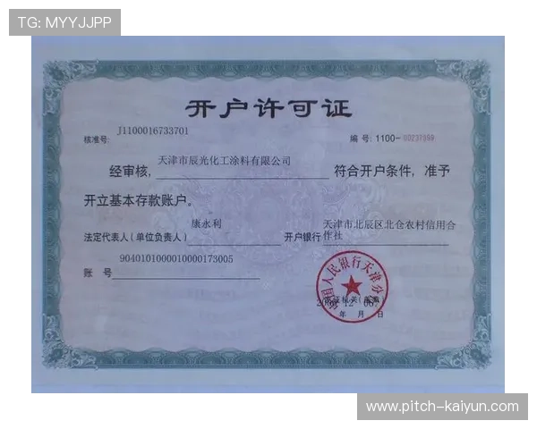 开云体育存款通道全测USDT与网银到账谁更快避坑电子真人技巧